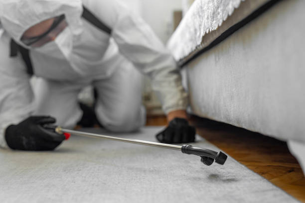 Professional Bed Bug Control technician working in Madison Parish County, LA